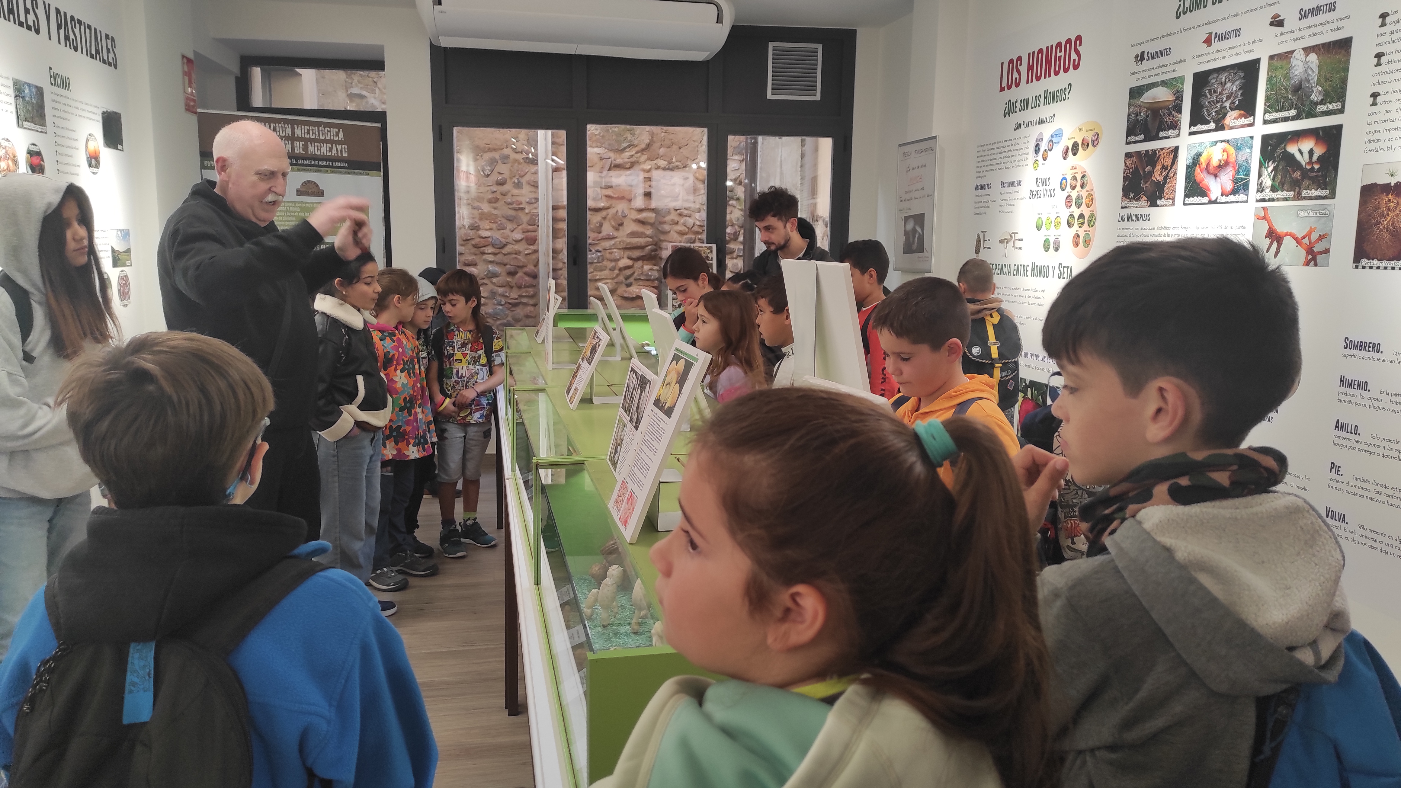 Copia de IMG_20251030_102328.jpg